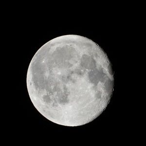 Meet your Posher, Angelina